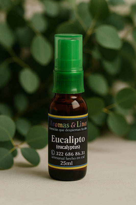 Ambientador de Eucalipto