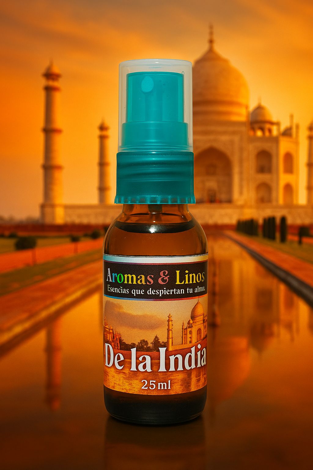Ambientador de la india