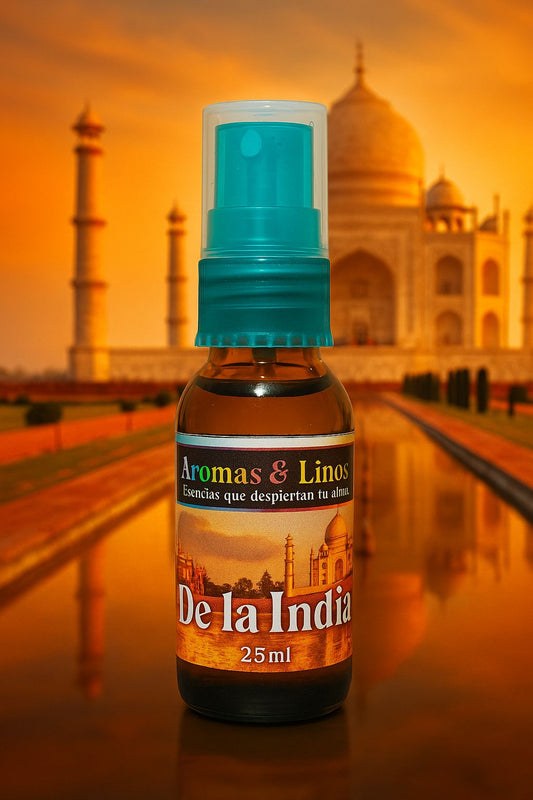 Ambientador de la india